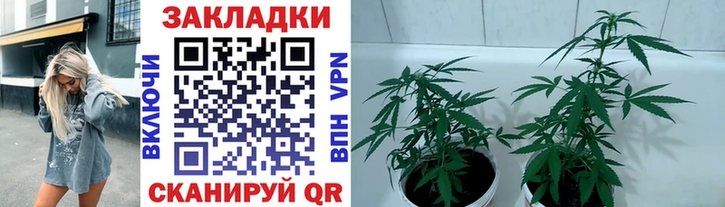Где купить наркотики Каневская A-PVP ГАШ АМФ Канабис