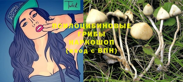 ПСИЛОЦИБИНОВЫЕ ГРИБЫ Гусиноозёрск