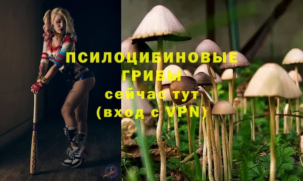альфа пвп VHQ Алзамай
