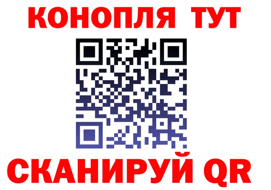 Альфа ПВП СК КРИС tor площадка OMG Каневская