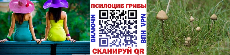 продажа наркотиков kraken маркетплейс Галлюциногенные грибы мицелий Каневская